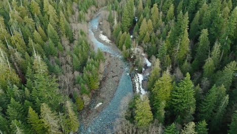 Evergreen-forest-with-river-in-the-pacific-northwest