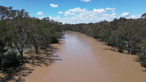 Flooded-muddy-brown-Goulburn-river