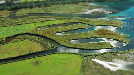 Miniatur-Sumpfgebiete-Am-Rande-Des-Fjords