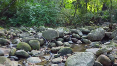 Sanfter-Bach,-Der-über-Moosbedeckte-Felsen-In-Der-Ruhigen-Waldumgebung-Von-Minca,-Kolumbien,-Fließt