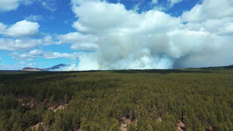 Incendio-Forestal-Con-Una-Gran-Nube-De-Humo-Cerca-Del-Gran-Cañón,-Arizona