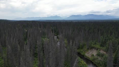 Fluss-In-Alaska,-Mitten-Im-Nirgendwo