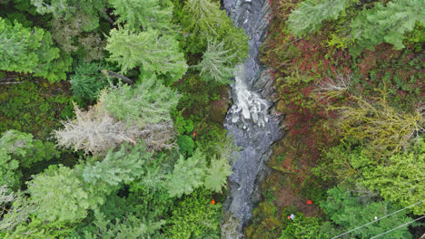 4K-drone-footage-aerial-of-bridge-and-river-in-evergreen-forest