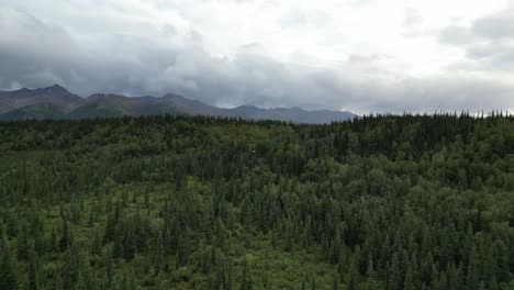 Wunderschöne-Landschaft-Der-Wildnis-In-Alaska