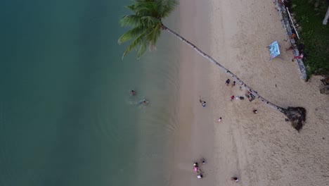 Children-play-with-Palm-tree-rope-swing-at-Port-Barton-beach,-Aerial