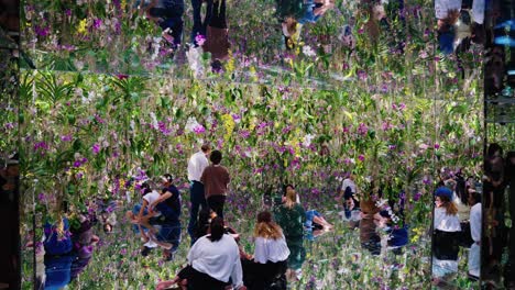 Slow-motion-panning-shot-over-mirrored-flower-room-with-orchid-display