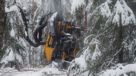 robotics-treehugger-machine-cuts-down-tree-and-strips-it-of-branches