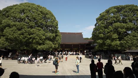 Tourists-And-Tour-Groups-In-Main-Courtyard-At-Meji-Shrine-With-Gehaiden-In-Background-Flanked-By-Two-Large-Camphor-Trees-On-Sunny-Day