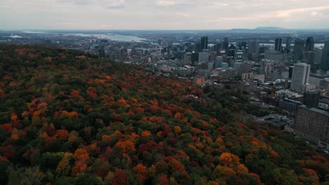 orbital-drone-shot-revealing-Montreal-city-and-the-parc-Mont-Royal-during-autumn-season-with-the-olympic-stadium-and-the-city-in-the-background-and-colorful-trees-in-the-foreground
