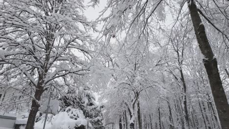 Schneebedeckte-Bäume-Und-Häuser-Im-Winter-In-München,-Deutschland