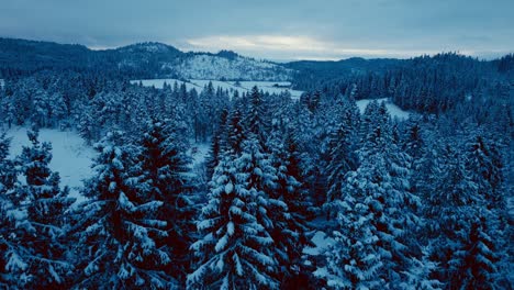 Flying-Above-Fir-Forest-During-Moody-Winter-Mountains
