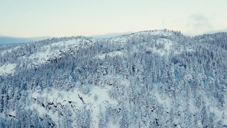Montañas-Forestales-Cargadas-De-Nieve-Después-De-Una-Tormenta-De-Nieve.-Disparo-Aéreo-Con-Drones