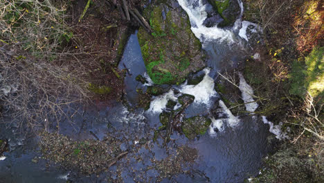 Beruhigender-Fluss,-Der-Im-Wald-Fließt,-Filmisches-Video-Im-Pazifischen-Nordwesten-Amerikas