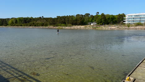 Person-Paddelt-Auf-Einem-Ruhigen-See-Mit-Waldhintergrund