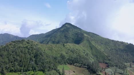 Drone-view-of-tropical-mountain-with-overgrown-by-dense-of-forest