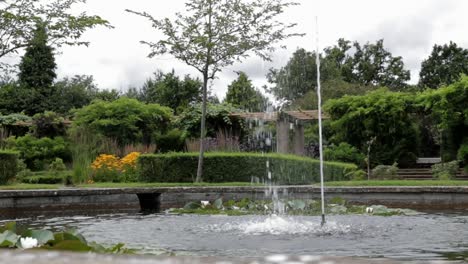 Fuente-De-Jardín-Con-Nenúfares,-Fuente-De-Agua-Serena-Rodeada-De-Exuberante-Flora