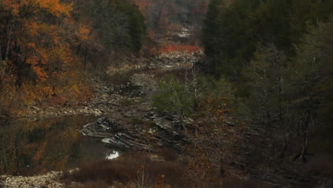 Trees-And-River-In-Fall-Season-At-Cedar-Flats-In-Arkansas,-USA