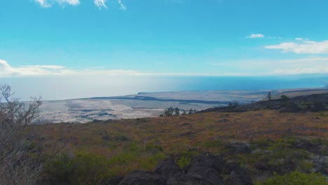 Vegetation-and-virgin-nature-landscape-near-fresh-volcanic-rock-formation-after-eruption,-Hawaii-USA