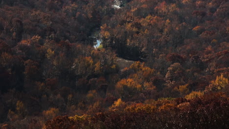 Golden-Autumn-Forest-Trees-In-Valleys-Of-Lee-Creek-In-Arkansas,-USA