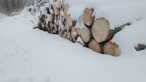 Stapel-Von-Mit-Schnee-Bedeckten-Baumstämmen-In-Der-Nähe-Des-Kiefernwaldes
