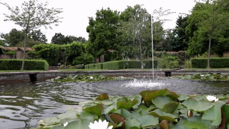 Peaceful-garden-pond-with-fountain-and-blooming-water-lilies,-serene-nature-scene