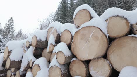 Schneebedeckter-Holzstapel-über-Kiefernwaldberg-In-Deutschland