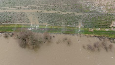 Hochwasser-Vom-Fluss-Waal,-Das-über-Das-Ufer-Auf-Das-Umliegende-Ackerland-Fließt