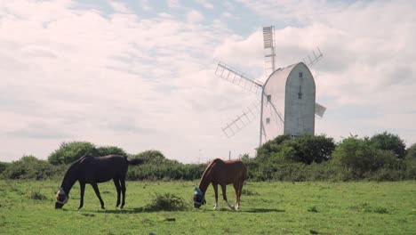 2-horses-in-front-of-a-white-windmill-in-South-England