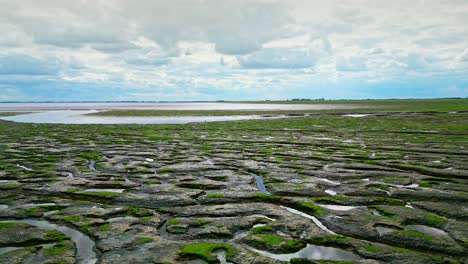 Cracked-mud-flats-in-a-salt-marsh