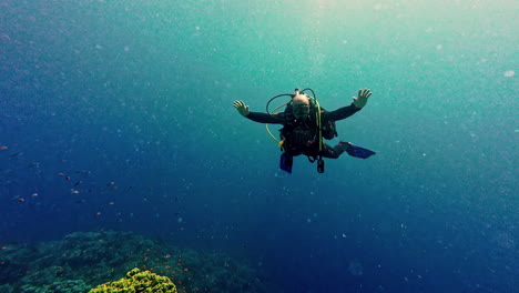 Taucher-Erkundet-Die-Lebendige-Unterwasserszene-Mit-Korallenriffen-Und-Meereslebewesen-In-Klarem,-Blauem-Wasser