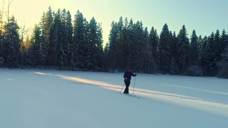Lone-person-cross-country-skiing-across-a-snowy-landscape-with-dense-forest-in-the-background,-under-a-clear-sky