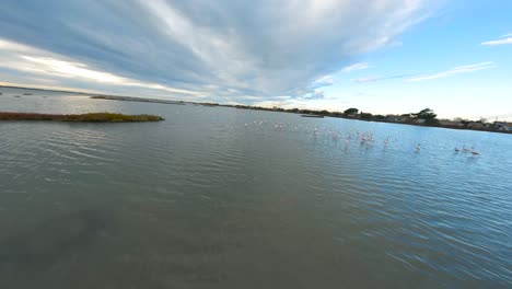 Über-Dem-Wassersee-Manövrieren-Sie-Mit-Beweglichkeit-Und-Fangen-Wilde-Vögel-Unten-Ein