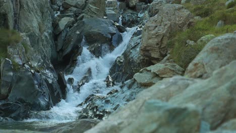 Wasserfälle,-Die-Zum-Bach-In-Cima-Fontana,-Valmalenco,-Lombardei,-Italien,-Fließen
