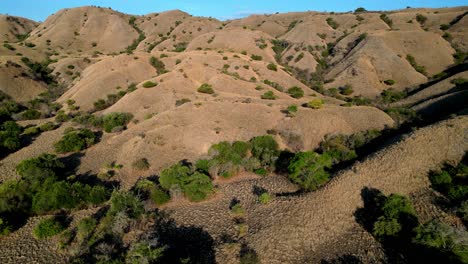 Drone-video-over-a-dry-and-barren-landscape-with-green-trees