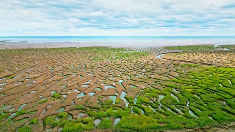 Cracked-mud-flats-in-a-salt-marsh