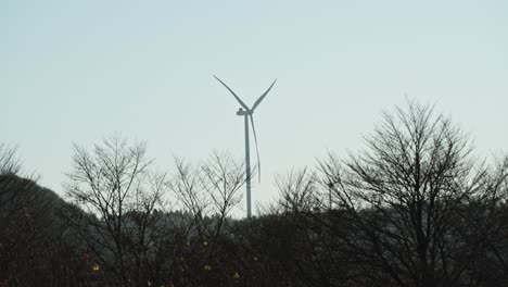 Single-wind-turbine-stands-behind-leafless-trees-under-a-clear-sky,-a-symbol-of-renewable-energy-amidst-nature