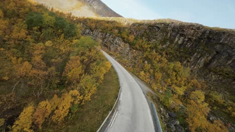 Swooping-along-a-road-and-over-trees-during-autumn-in-northern-Norway