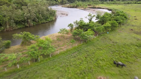 Flüsse,-Bäume,-Tiere-Und-Natur-Kolumbiens