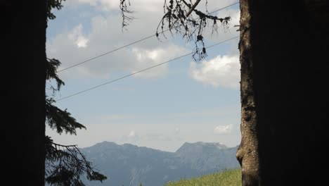 Cable-cars-gliding-between-trees-with-mountain-backdrop-in-daylight