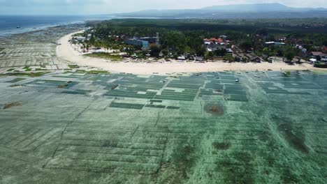 Algenfarmen-Und-Malerische-Küstenlandschaften-Auf-Nusa-Lembongan