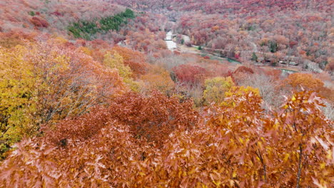 Orange-yellow-autumnal-trees-foliage-landscape-in-Devil's-Den-State-Park,-aerial
