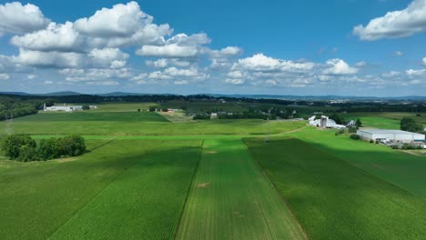 Grüne-Maisfelder-Im-Sommer-Mit-Weißen-Wirtschaftsgebäuden,-Silos-Und-Einem-Flickenteppich-Aus-Feldfrüchten-Unter-Einem-Blauen-Himmel-Mit-Flauschigen-Wolken