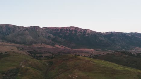 Aerial-ascend-near-Albanian-hillside-vineyard-and-mountain-range-during-sunset