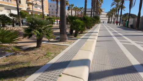Von-Palmen-Gesäumte-Promenade-Mit-Städtischem-Spielplatz-In-Cádiz