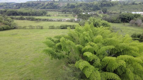 Ríos,-árboles,-Animales-Y-Naturaleza-De-Colombia.