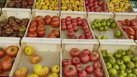 Different-colored-tomatoes-selection-with-size-and-appearance-in-wooden-boxes-on-a-market-for-sale