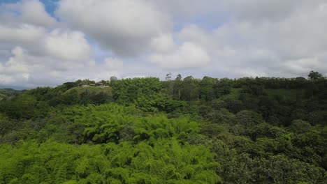 Ríos,-árboles,-Animales-Y-Naturaleza-De-Colombia.