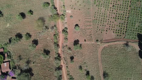 Agricultura-Sostenible-En-Kenia-Rural,-Vista-Aérea-De-Arriba-Hacia-Abajo