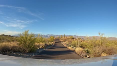 Point-of-view---driving-on-a-ridge-above-the-Saguaro-Forest-towards-the-Rincon-Mountains-in-the-Saguaro-National-Park-in-Arizona