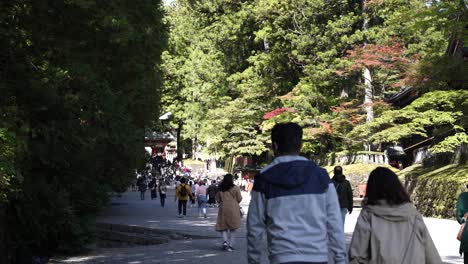 Nikko-Toshogu-tourism,-crowds-walk-path-to-attraction-entrance-SLO-MO